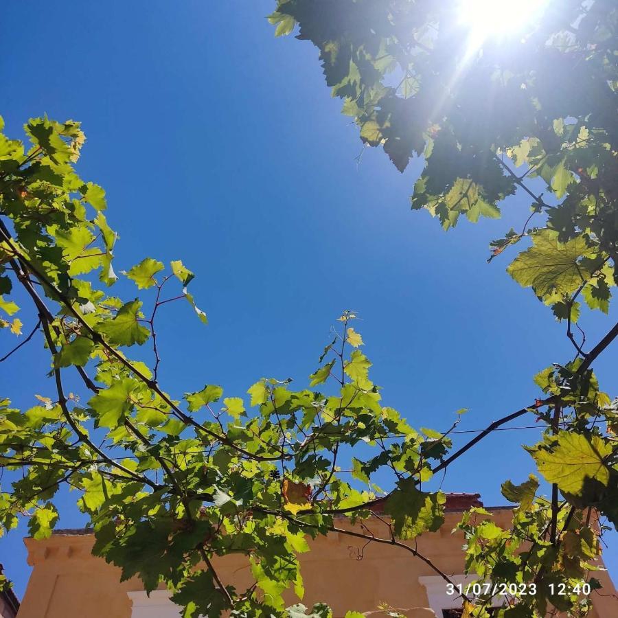 Rhodes Youth Hostel (Adults Only) Rhodes City Εξωτερικό φωτογραφία